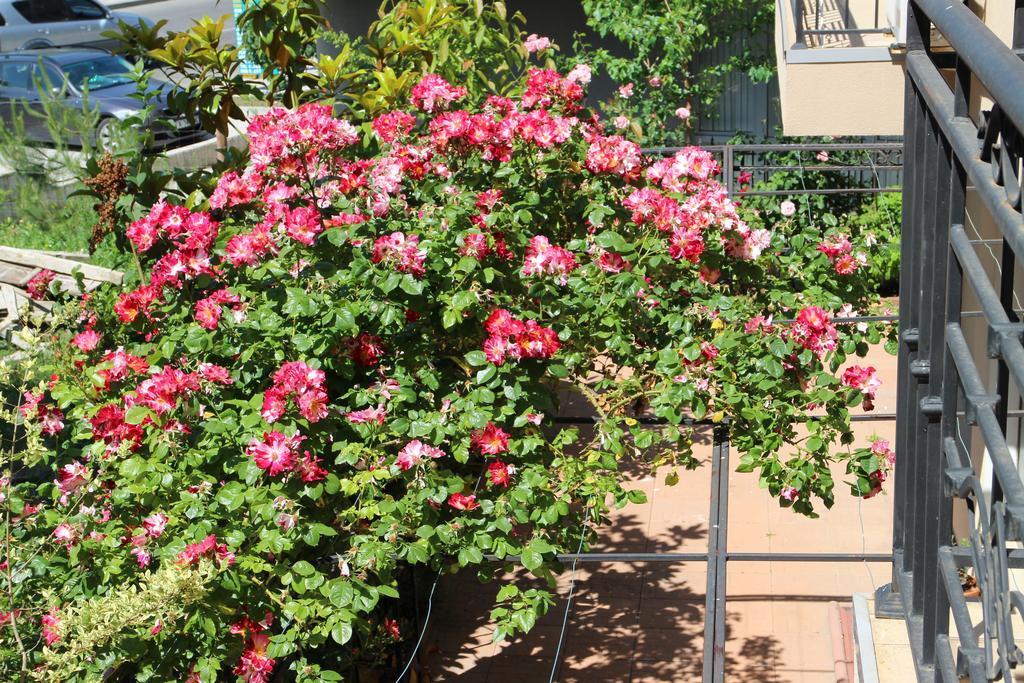 Flowers Apartments Nesebar Exterior photo
